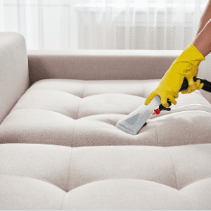Sofa / Mattress Cleaning